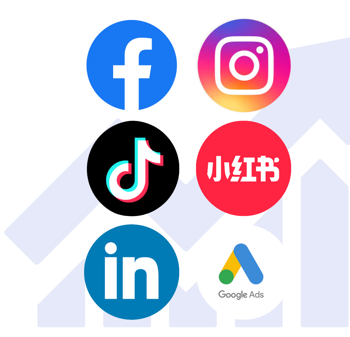 Paid Ads - Facebook, Instagram, TikTok, Xiao Hong Shu, Linkedin, Google Ads