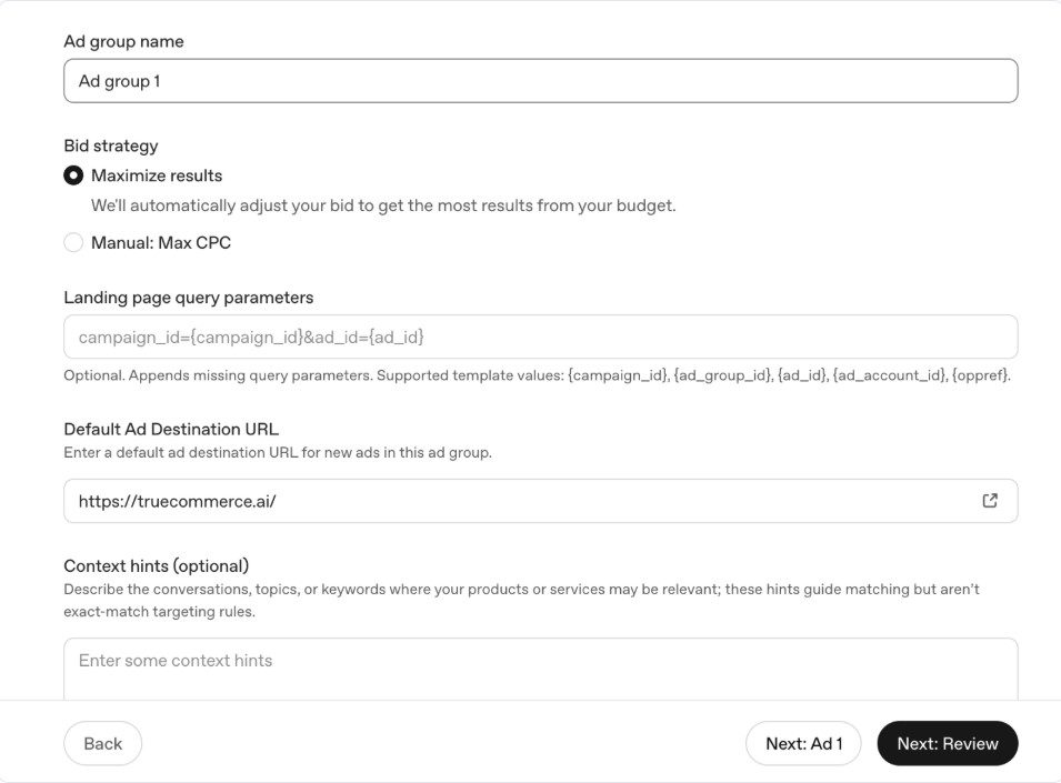 Ad level settings in OpenAI Ads Manager showing context hints, title, description, image and landing URL fields